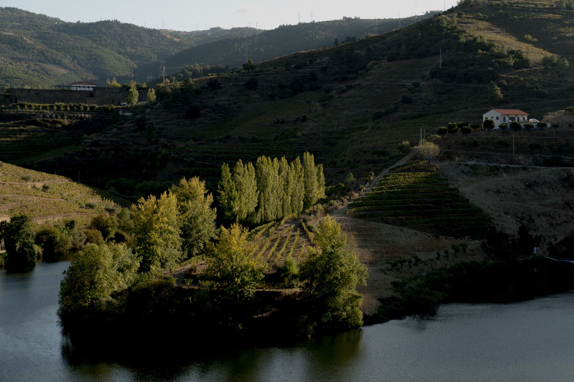 Terraced vineyards overlooking ancient river valley